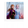 Kit festa frozen Compleanno a tema frozen piatti frozen bicchieri frozen tovaglia frozen tovaglioli frozen