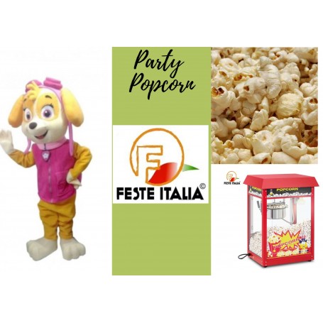 Festa a Tema Skye Paw Patrol Compleanno a Tema Paw Patrol kit festa paw patrol