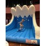Affitto Noleggio Gonfiabile Surf Meccanico Simulatore  Surf