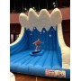 Affitto Noleggio Gonfiabile Surf Meccanico Simulatore  Surf