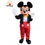 noleggio costumi minnie e topolino 
 mascotte minnie e topolino festa minnie e topolino