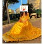 Noleggio costume Principessa  Bella e la Bestia