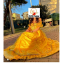 Noleggio costume Principessa  Bella e la Bestia