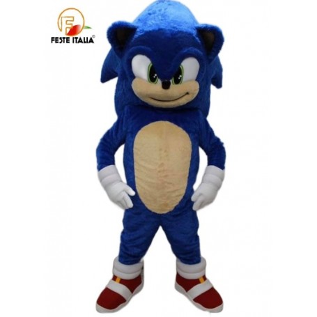 Affitto Noleggio Mascotte Costume Sonic  torino  compleanno sonic torino, festa tema sonic torino , decorazioni sonic torino,