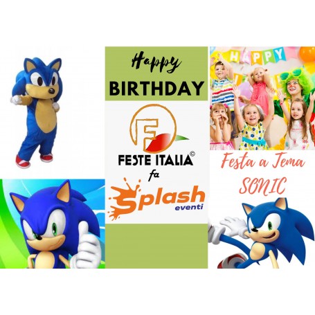 Festa a Tema Sonic Milano Compleanno a tema Sonic Milano