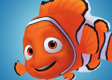 Alla ricerca di Nemo 
