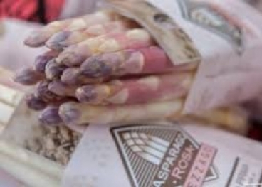 Sagra dell’Asparago Rosa di Mezzago 