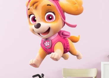 Festa a Tema Skye Paw Patrol