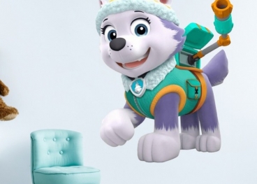 Festa a Tema Everest  Paw Patrol