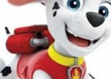 Festa a Tema Marshall Paw Patrol